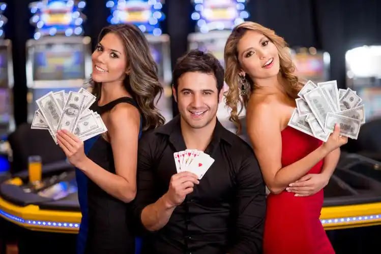 ivibet